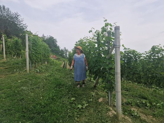 Kvinner eier vinmark